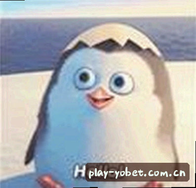 陈磊